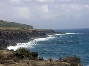 Horta Coastline